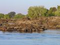 The cataracts of the Zambezi