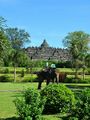 Elephants near Borobudur