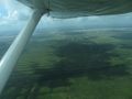 Guyana from the air