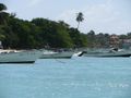 Tobago -- Buccoo Reef Tour
