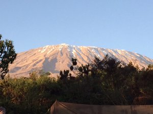 View of Kilimanjaro from Simba camp.