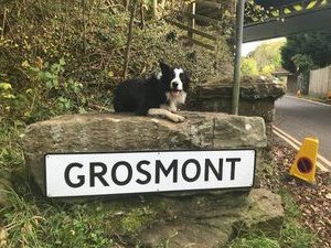 Princess Jess conquers Grosmont! 