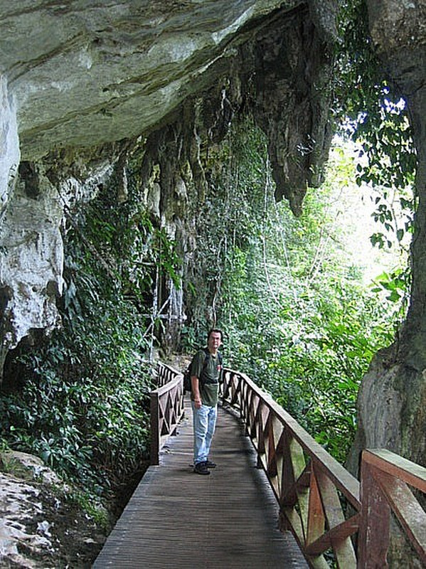 Niah Cave 6
