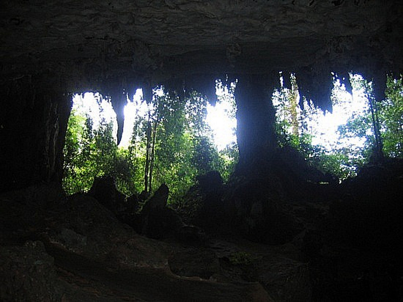 Niah Cave 8