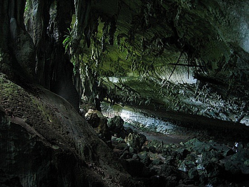 Niah Cave 9