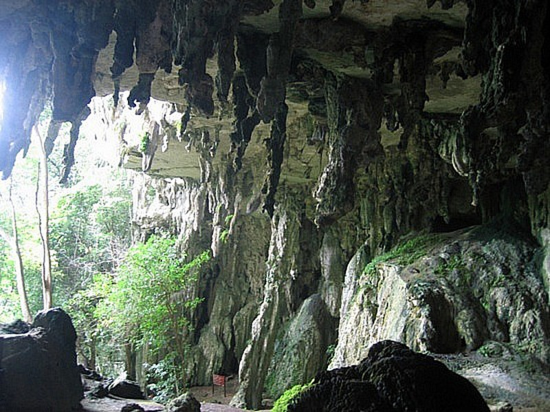 Niah Cave 1