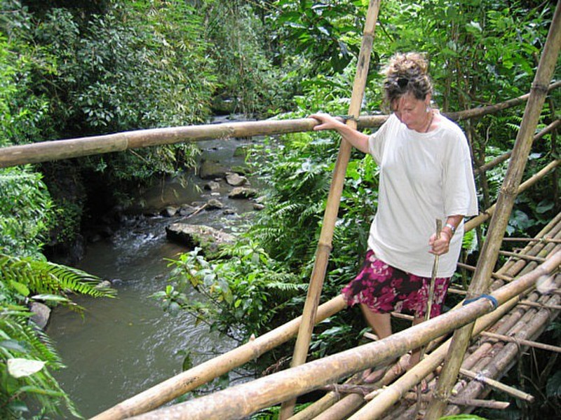Pont en bamboo  - Ubud - Bamboo Bridge