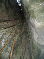 Undergroung cave (jungle trail) 1