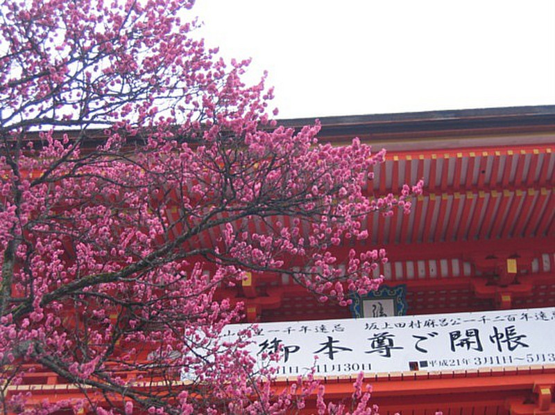kiyomizu-dera #1