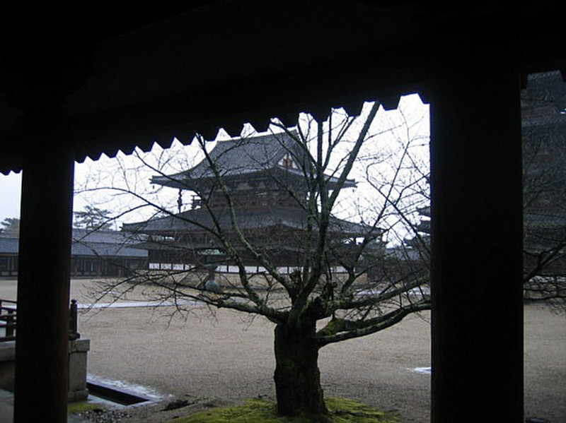 Horyu-ji temple #6