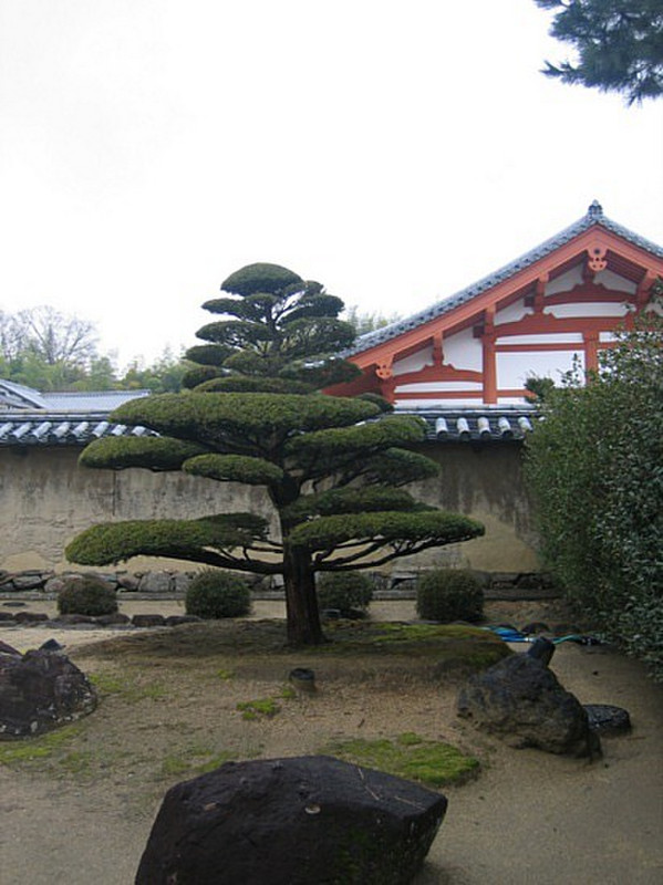 Horyu-ji temple #10