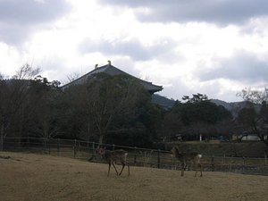 Todai-ji temple #1
