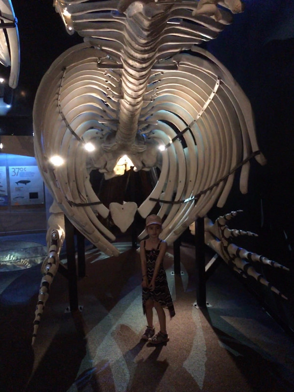 Romy dans un squelette de mammifère marin