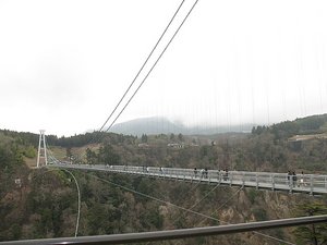 Kokonoe Dream Large Suspension Bridge