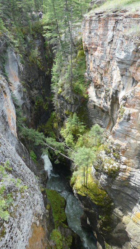 Maligne Canyon