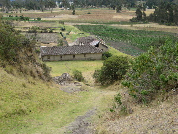 An Ecuadorian farm