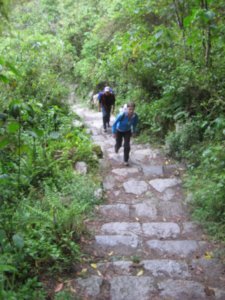 The Inca steps to MP