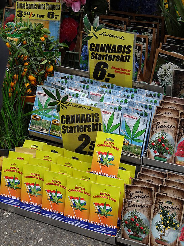 Cannabis starter packs