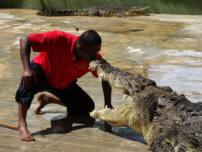 Kissing a croc
