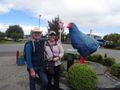 With the Blue Chook