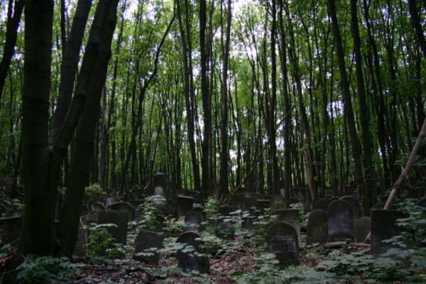 Warsaw Jewish Cemetery 5