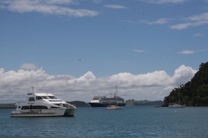 Bay of Islands (Waitangi), New Zealand 025