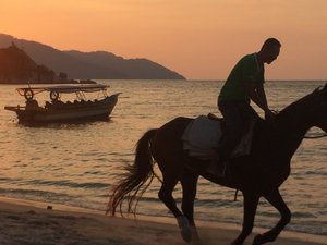 Sunset with Horse at Batu Ferringhi Beach - Penang