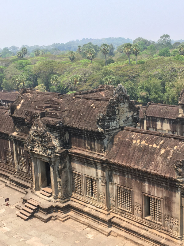 Angkor Wat - Deep in Jungle