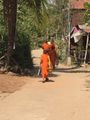 Monks going home for lunch in Village