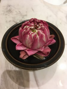 Cambodia Lotus