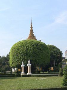 Royal Palace - 30 foot trees and pagoda