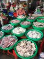 Sa Dec Market - Fish Vendor