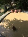 3 Island Tour - Mud Bath on Hon Tam Island