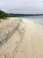Beach in Easo, Lifou, New Caledonia