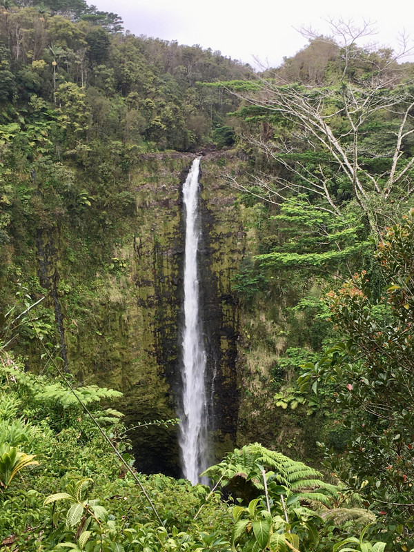 Hilo - Akaka Falls CU.