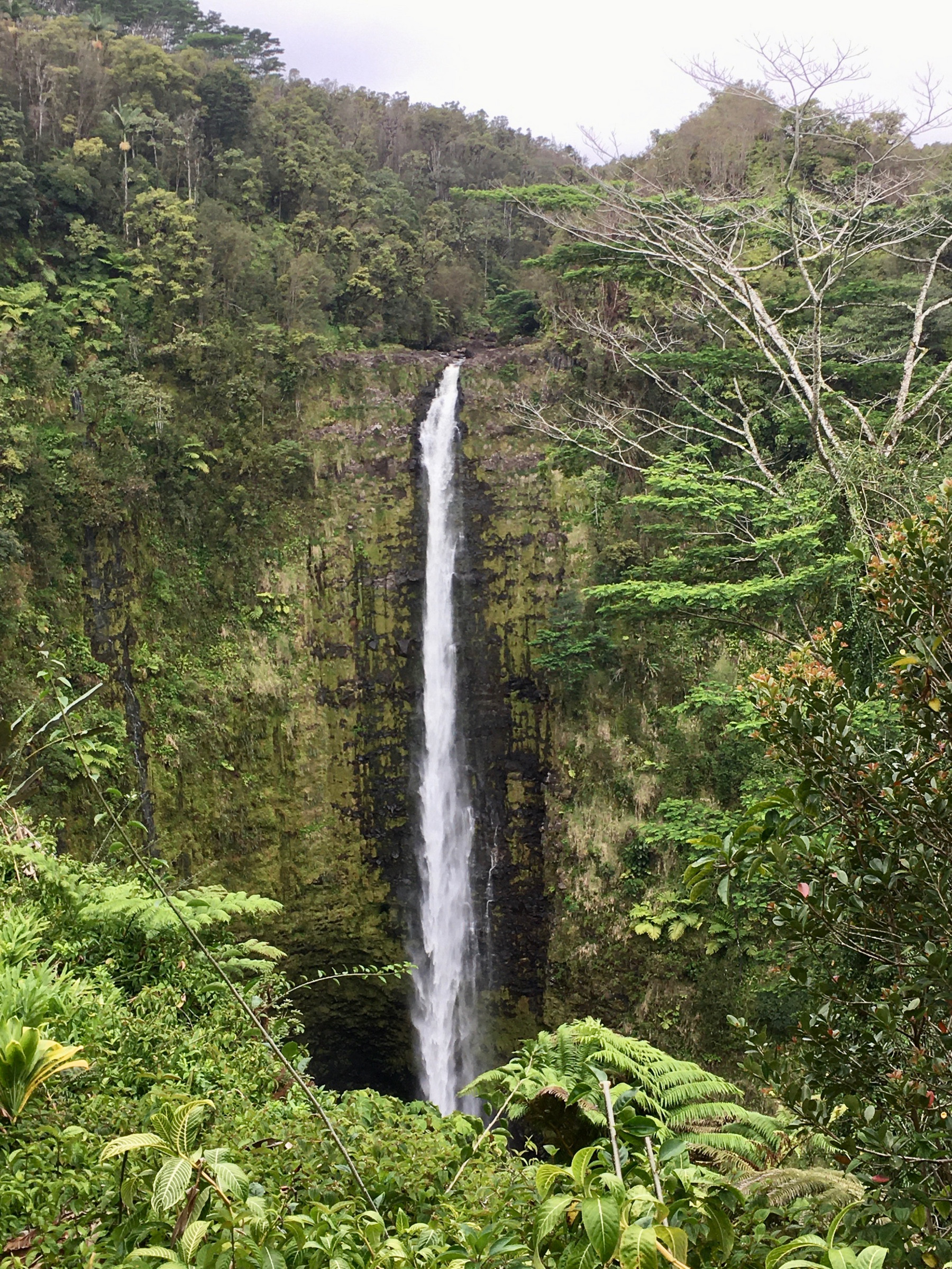 Hilo - Akaka Falls CU. | Photo