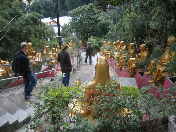 Path to 10,000 Buddhas