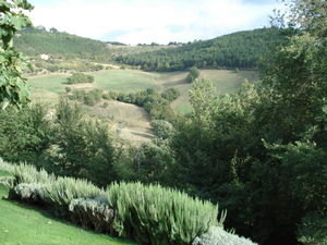 Our view in Umbria...perfect!
