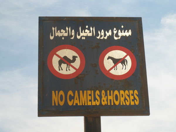 Leave your camel at home!