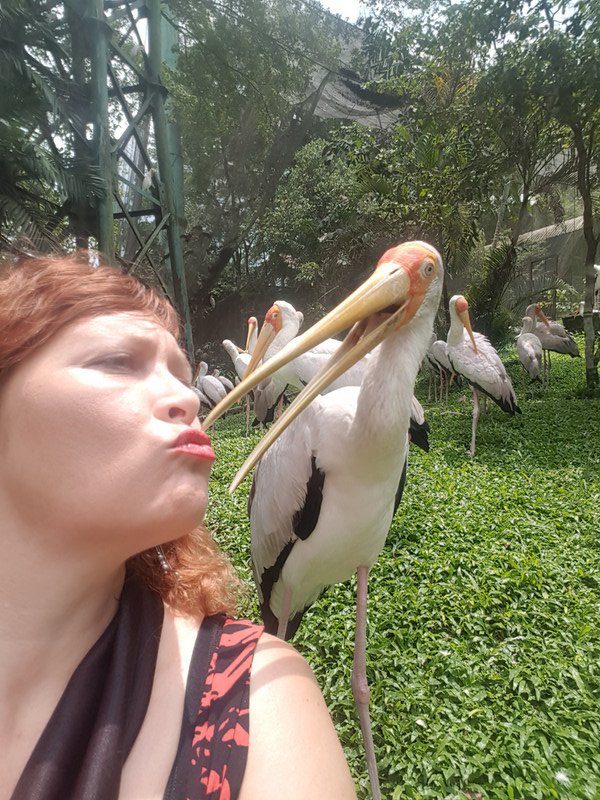 A kiss from this good looking bird..my little friend