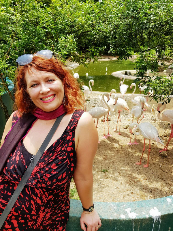 Me so happy right now with these beautiful flamingos. 