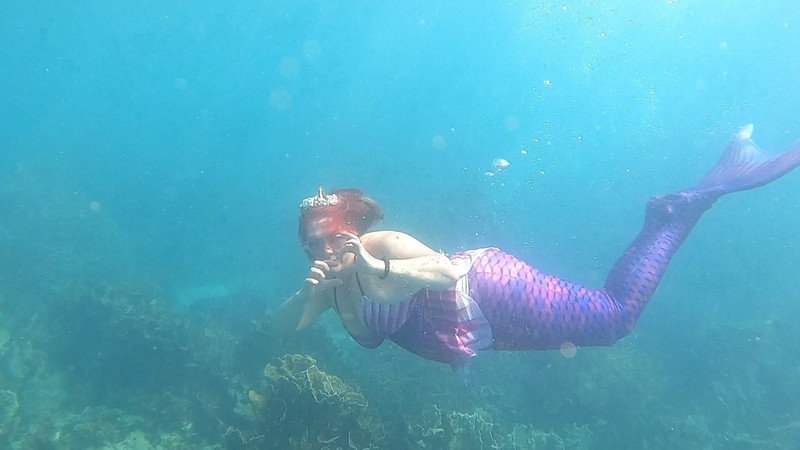Big purple type fish Coral Bay 