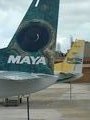 Maya Tails