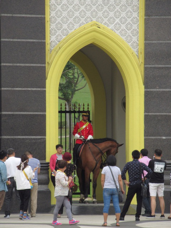 Guard at Presidential Palace