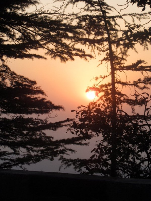 Shimla sunset