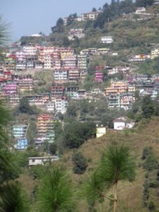 A slice of Shimla