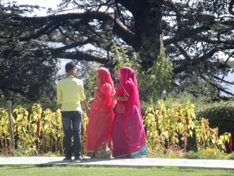 Tourists at Viceregal Lodge