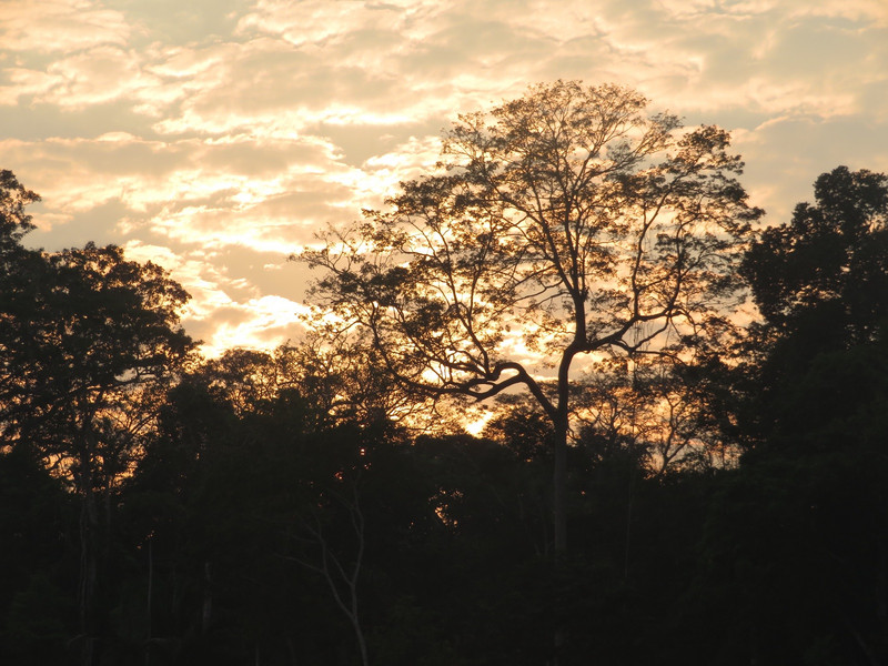 Sunrise in the Amazon