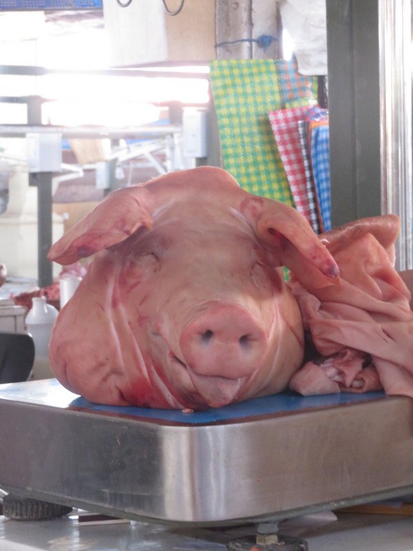 San Pedro Market - even the pigs look happy