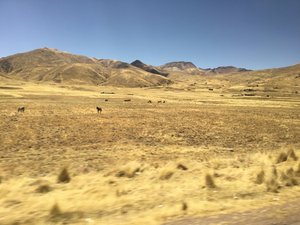 Big landscapes on the way to Puno